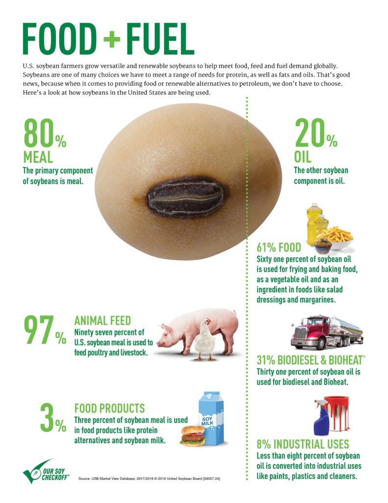 Everything About Soya: A Comprehensive Guide to Soybeans - Soya Food